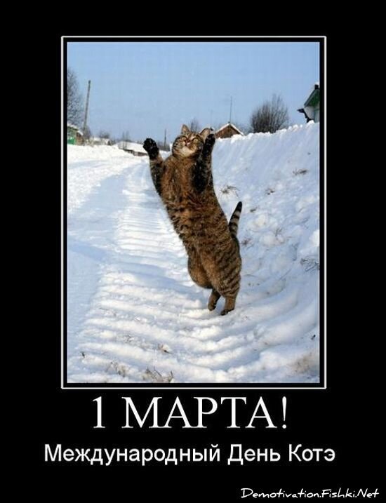 Смешной демотиватор от zubrilov за 15.06.2010 №54788