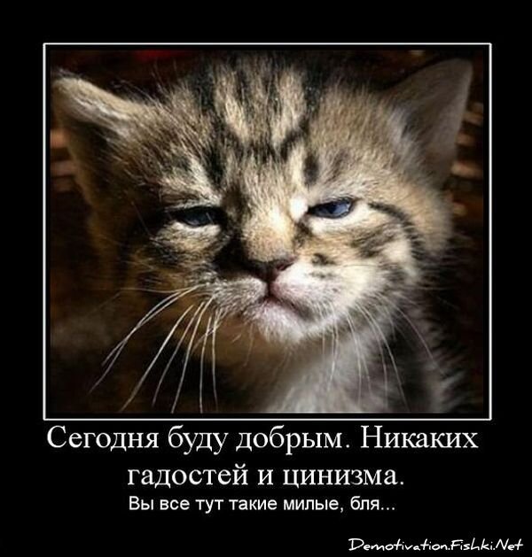 Смешной демотиватор от zubrilov за 15.06.2010 №54789