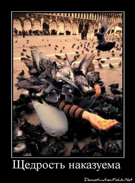 Демотиватор