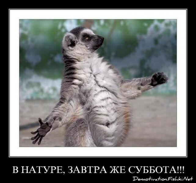 Демотиватор