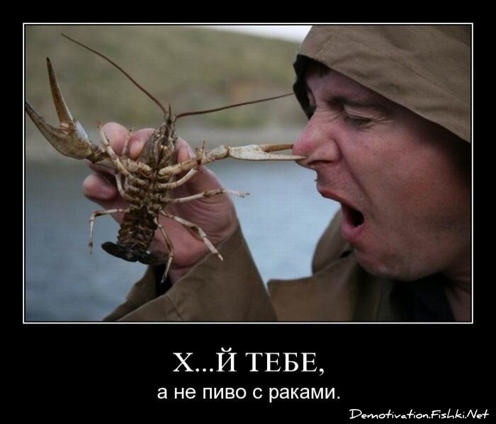 Смешной демотиватор от zubrilov за 15.06.2010 №54815