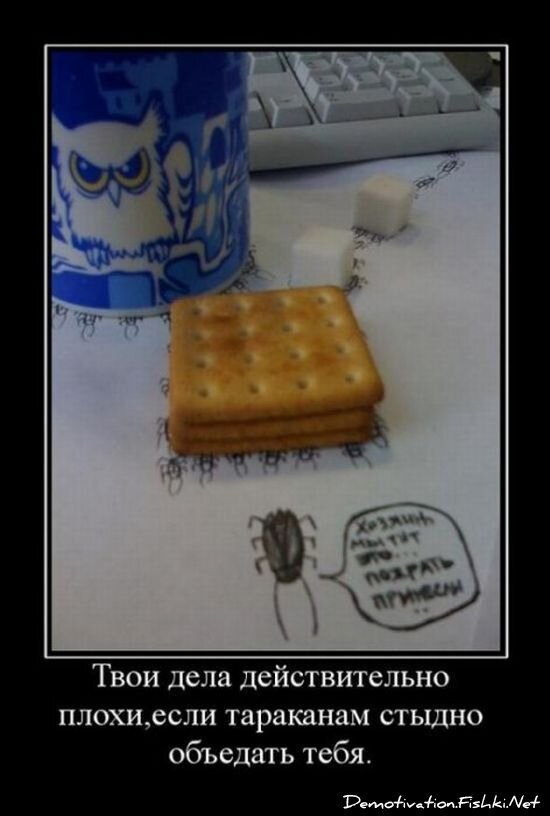 Смешной демотиватор от zubrilov за 15.06.2010 №54816