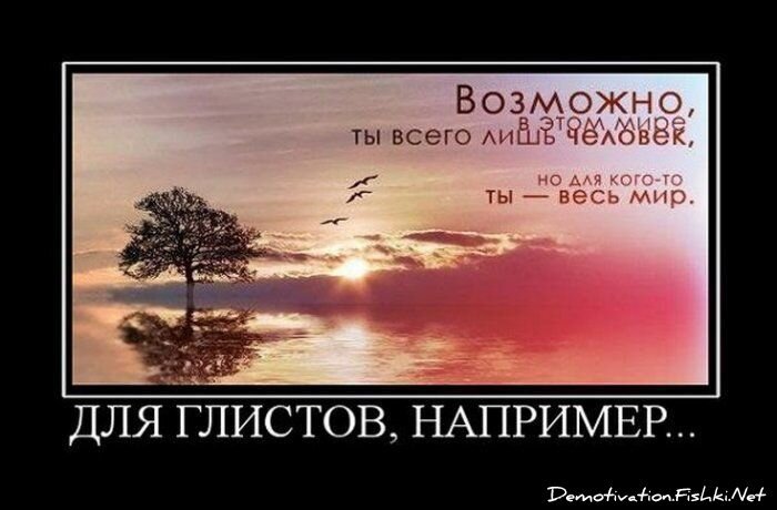 Демотиватор