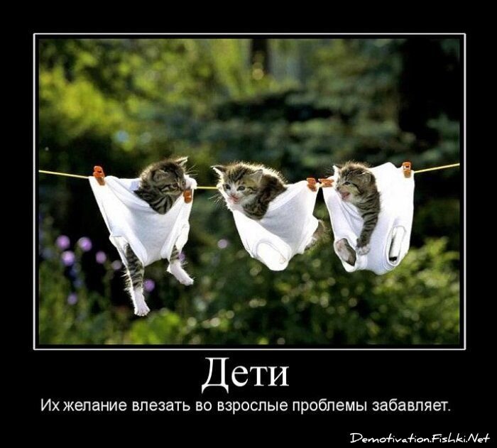 Смешной демотиватор от zubrilov за 15.06.2010 №54838