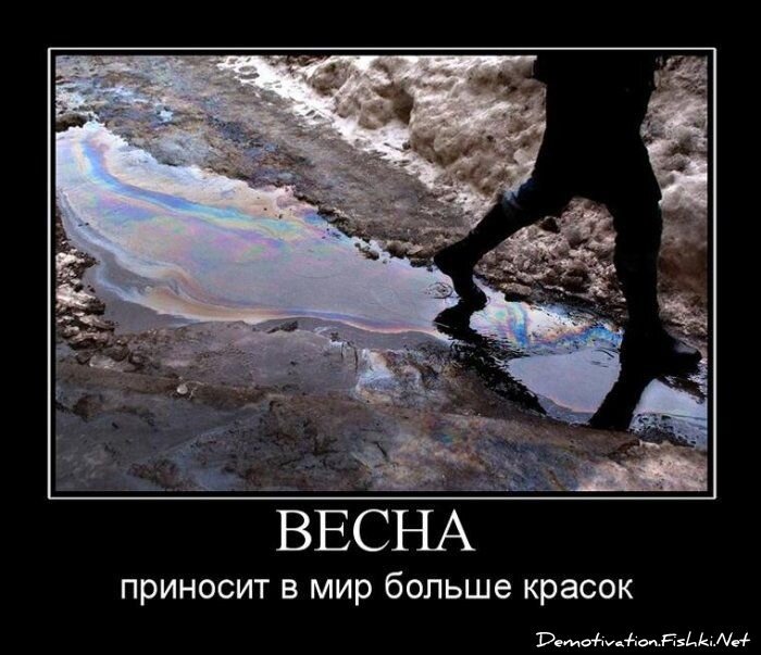 Демотиватор