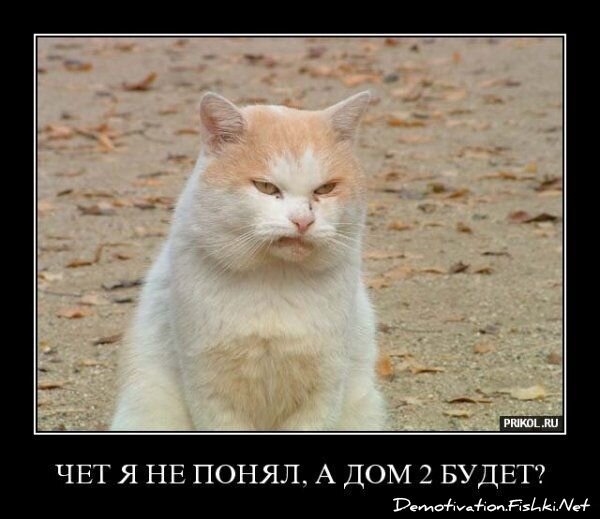 Демотиватор