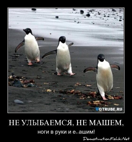 Смешной демотиватор от zubrilov за 15.06.2010 №54893