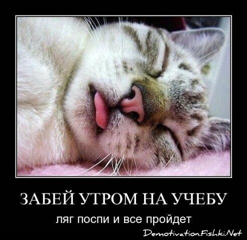 Смешной демотиватор от zubrilov за 15.06.2010 №54896