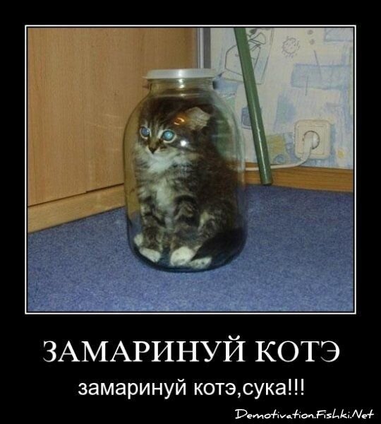 Смешной демотиватор от zubrilov за 15.06.2010 №54898