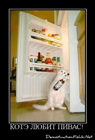 Демотиватор