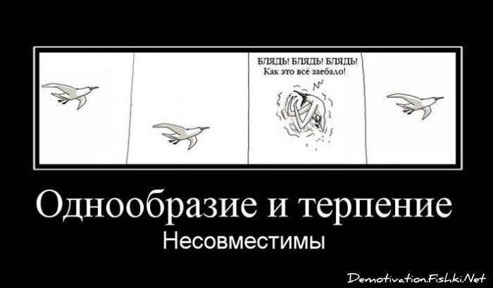 Смешной демотиватор от zubrilov за 15.06.2010 №54912