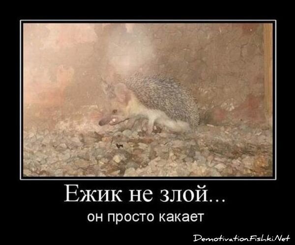 Смешной демотиватор от zubrilov за 15.06.2010 №54930