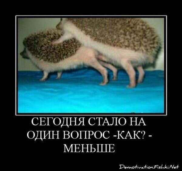 Смешной демотиватор от zubrilov за 15.06.2010 №54934