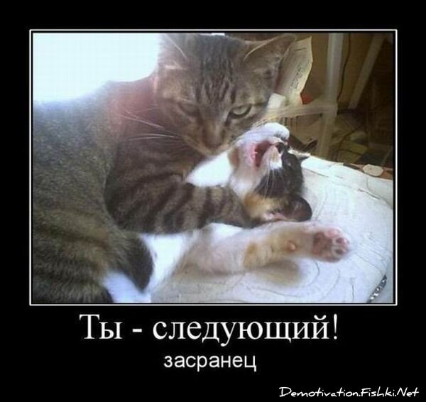 Демотиватор