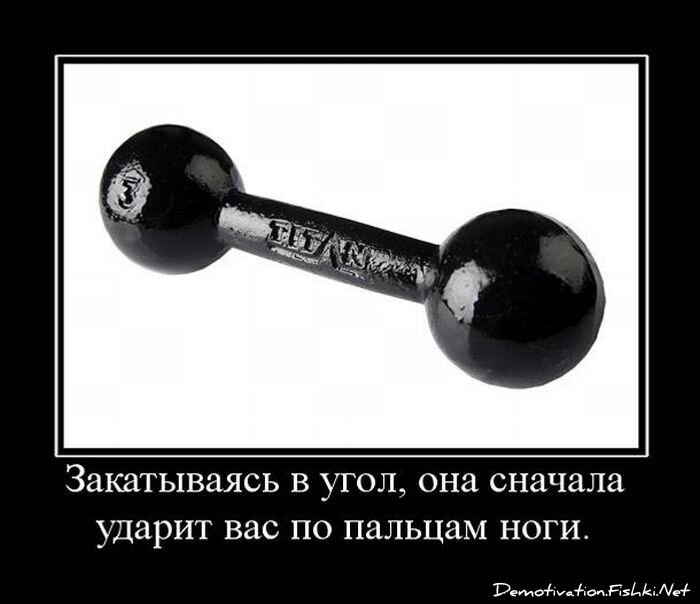 Демотиватор