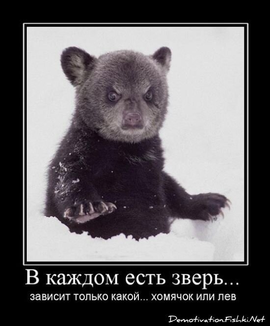 Смешной демотиватор от zubrilov за 15.06.2010 №54953