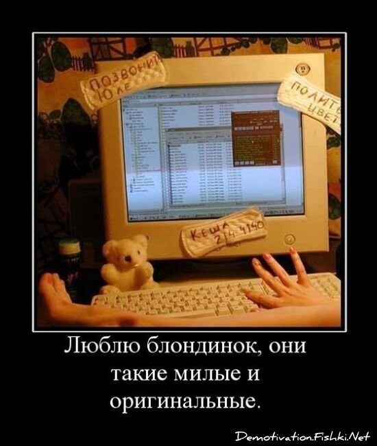 Смешной демотиватор от zubrilov за 15.06.2010 №54976