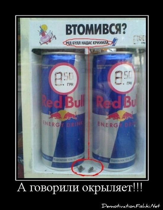 Смешной демотиватор от zubrilov за 15.06.2010 №54981