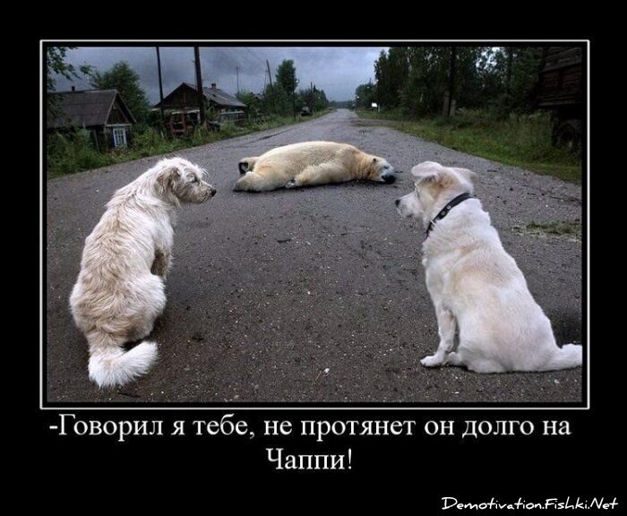 Демотиватор