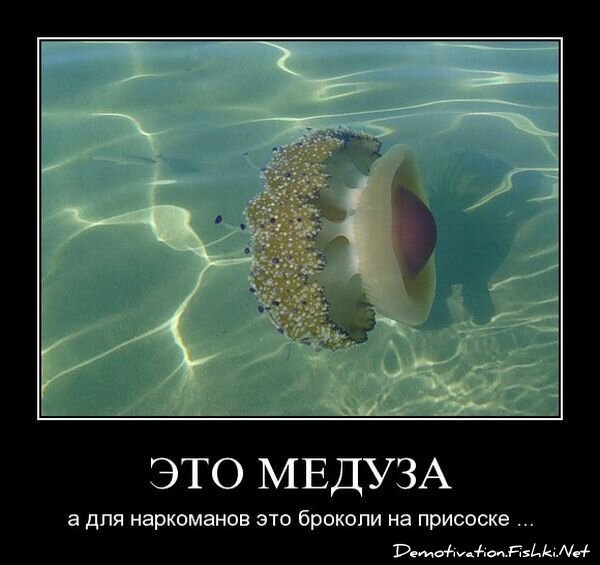 Смешной демотиватор от zubrilov за 15.06.2010 №55023