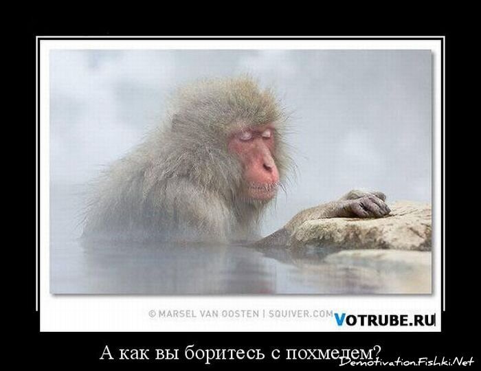 Смешной демотиватор от zubrilov за 15.06.2010 №55028