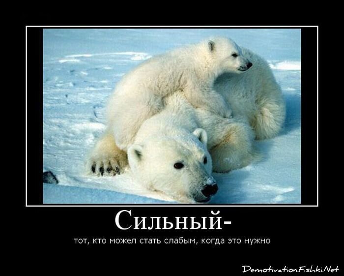 Смешной демотиватор от zubrilov за 15.06.2010 №55042