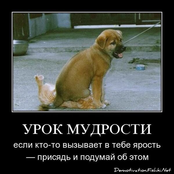 Демотиватор