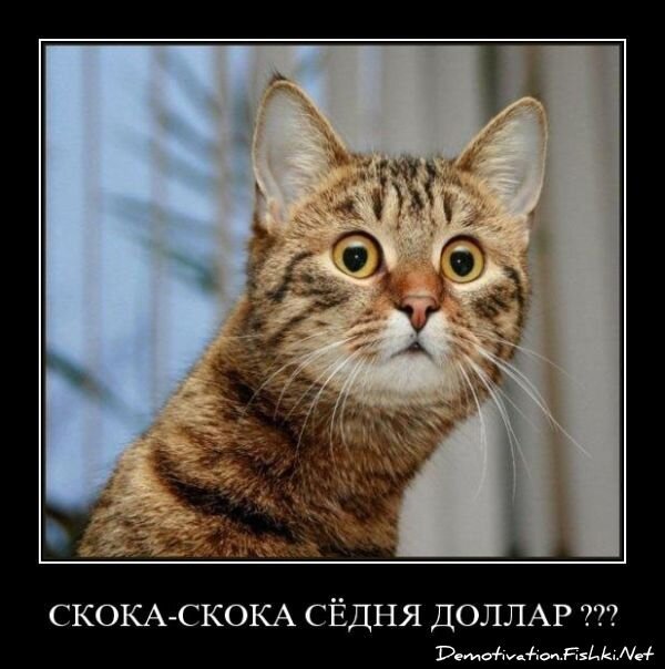 Смешной демотиватор от zubrilov за 15.06.2010 №55052