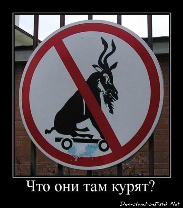 Смешной демотиватор от zubrilov за 15.06.2010 №55054