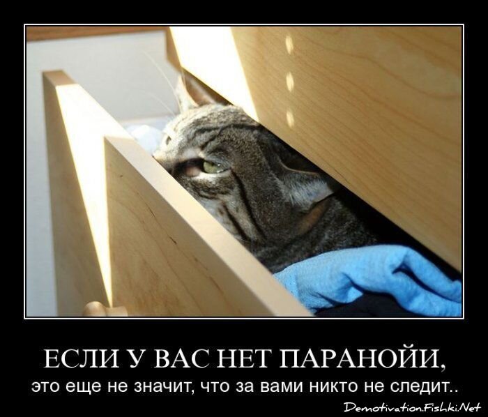 Смешной демотиватор от zubrilov за 15.06.2010 №55064