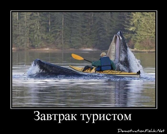 Смешной демотиватор от zubrilov за 15.06.2010 №55078
