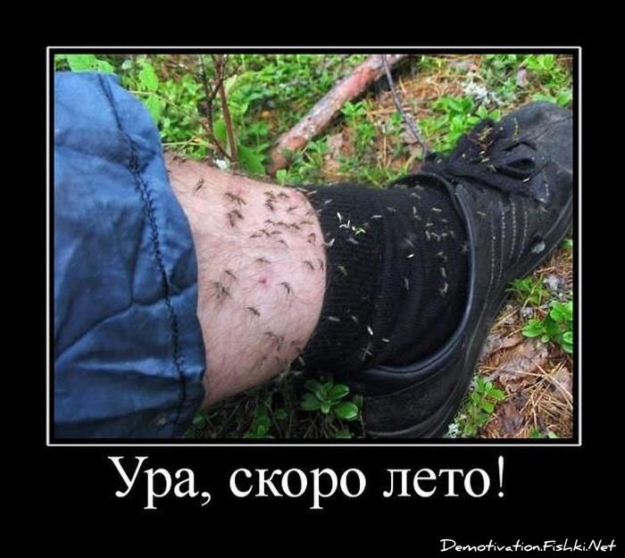 Демотиватор