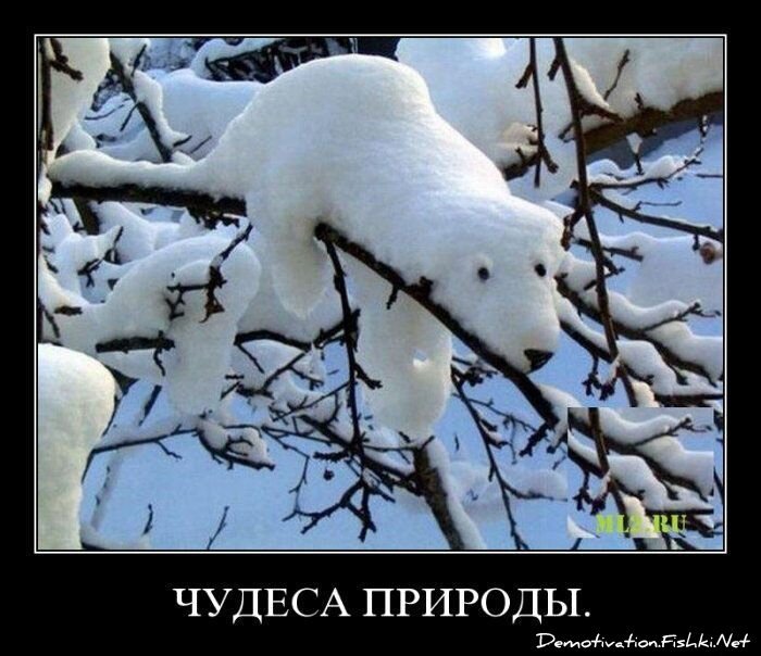 Смешной демотиватор от zubrilov за 15.06.2010 №55095