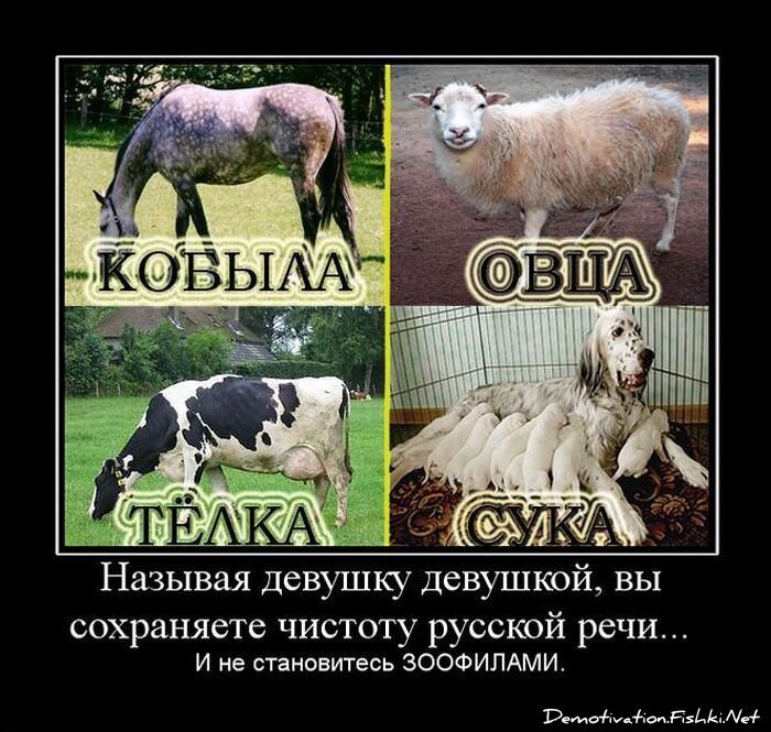 Смешной демотиватор от zubrilov за 15.06.2010 №55107