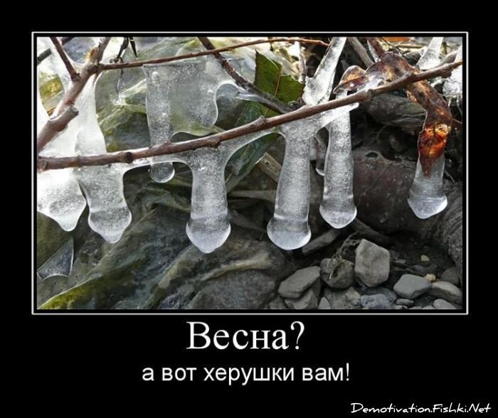 Смешной демотиватор от zubrilov за 15.06.2010 №55109