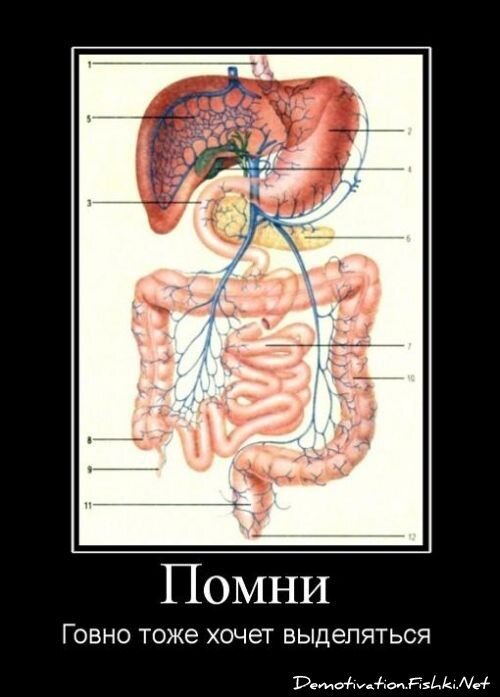 Смешной демотиватор от zubrilov за 15.06.2010 №55124