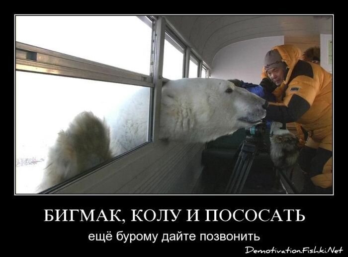 Демотиватор