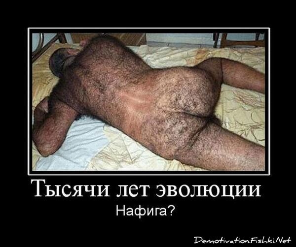 Смешной демотиватор от zubrilov за 15.06.2010 №55129