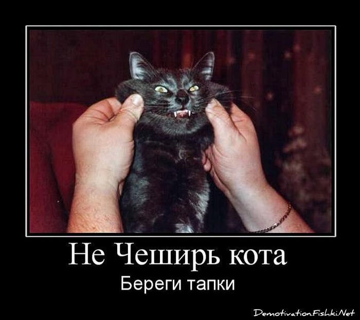 Смешной демотиватор от zubrilov за 15.06.2010 №55130