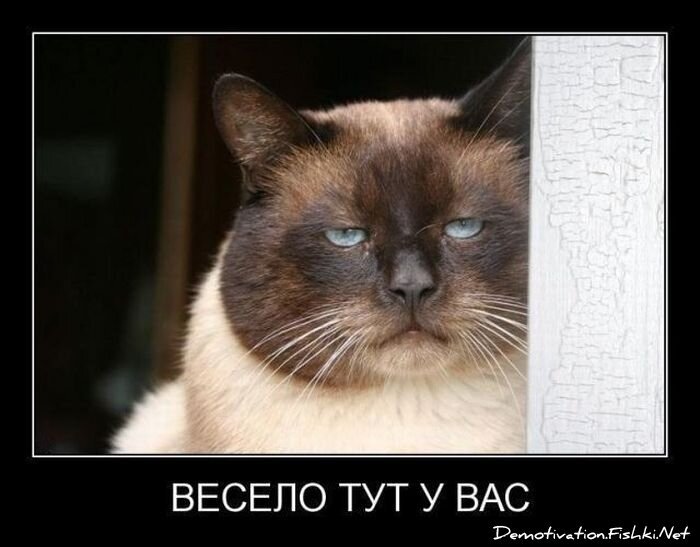 Смешной демотиватор от zubrilov за 15.06.2010 №55132