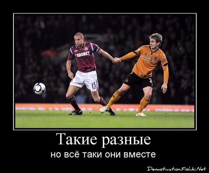 Смешной демотиватор от zubrilov за 15.06.2010 №55136