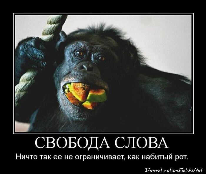 Смешной демотиватор от zubrilov за 15.06.2010 №55138