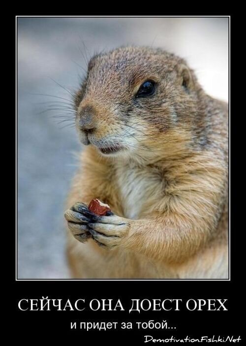 Смешной демотиватор от zubrilov за 15.06.2010 №55140