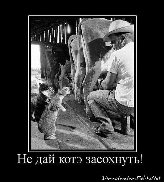 Смешной демотиватор от zubrilov за 15.06.2010 №55166