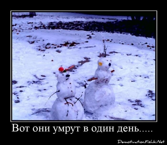 Смешной демотиватор от zubrilov за 15.06.2010 №55172