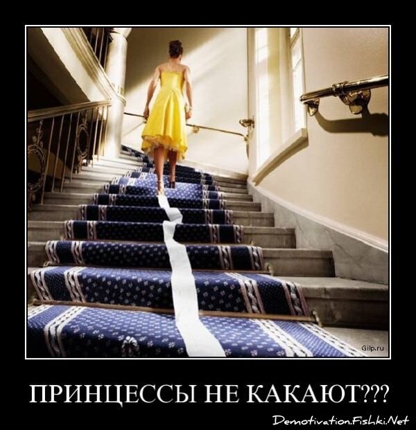 Смешной демотиватор от zubrilov за 15.06.2010 №55176