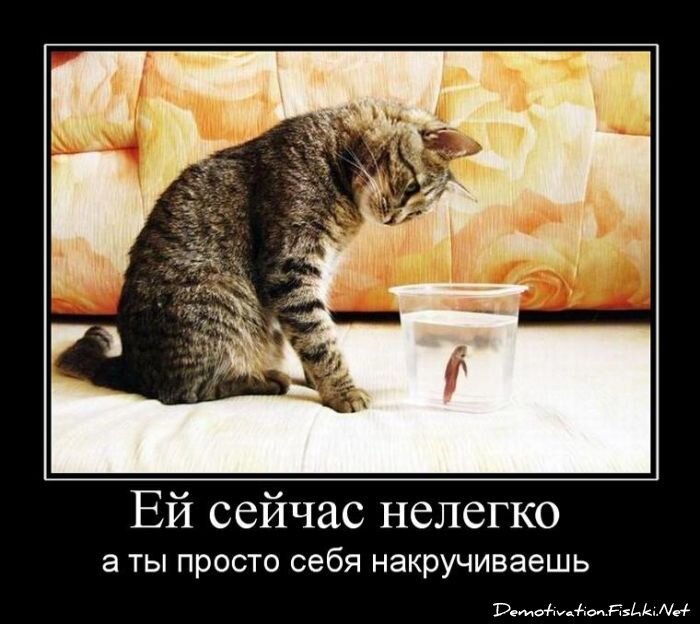 Смешной демотиватор от zubrilov за 15.06.2010 №55183