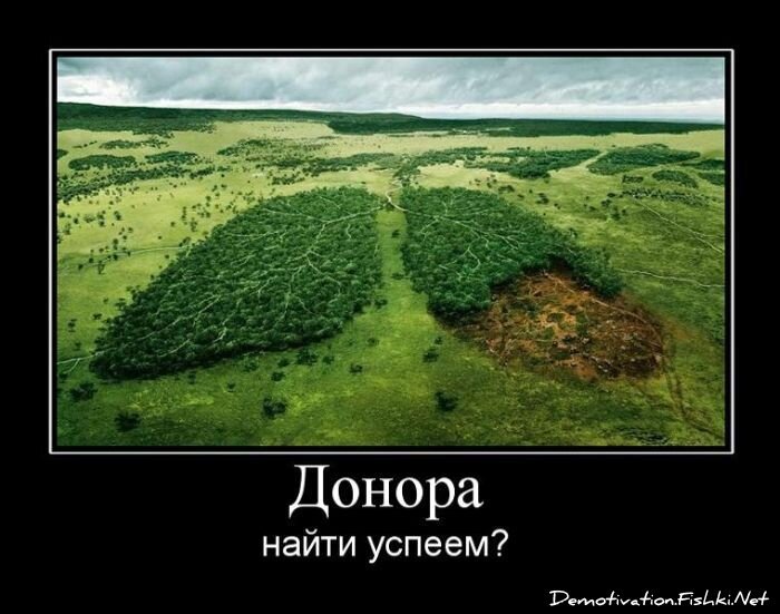 Смешной демотиватор от zubrilov за 15.06.2010 №55184