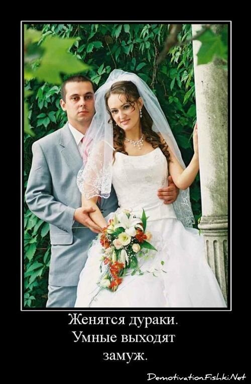 Демотиватор