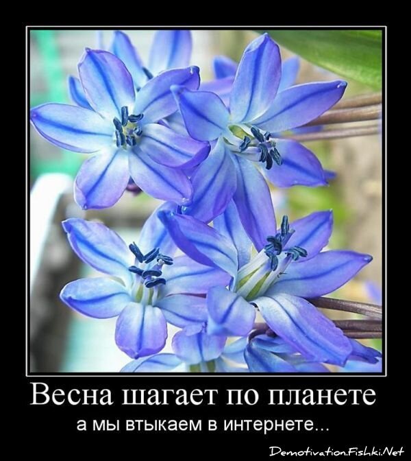 Смешной демотиватор от zubrilov за 15.06.2010 №55188